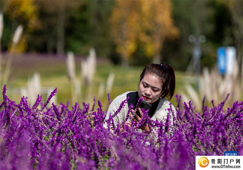 第三代试管婴儿流程指南,费用、过程、成功率全解读(图7) 贵州百里杜鹃:拓展旅游业态 激活秋冬旅游季(图7)