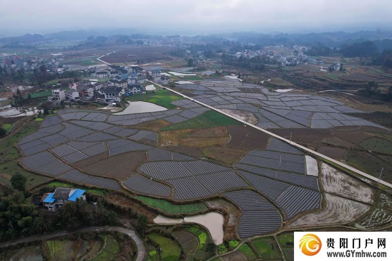 徐麟在黔东南州调研(图3) 徐麟在黔东南州调研(图3)