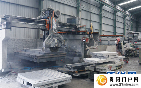 张铭代表：以“3+6+1”产业组合推进金沙强县计划(图4)