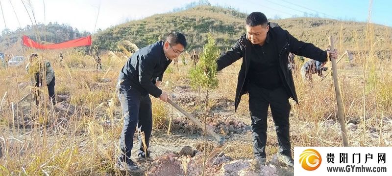 “植”此青绿 不负青山 贵州各地开展义务植树活动(图4)