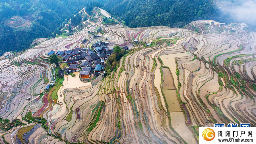 贵州从江:雾漫梯田(图1) 贵州从江:雾漫梯田(图1)