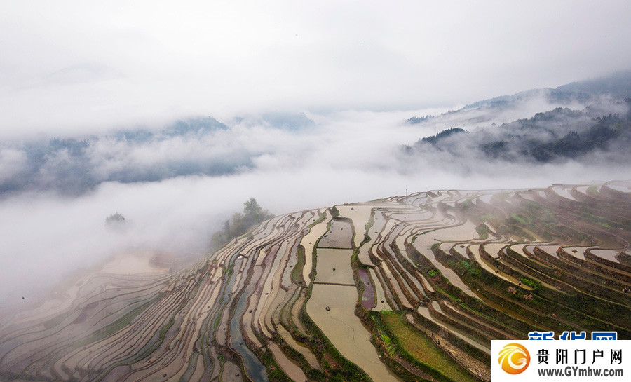 贵州从江:雾漫梯田(图5) 贵州从江:雾漫梯田(图5)