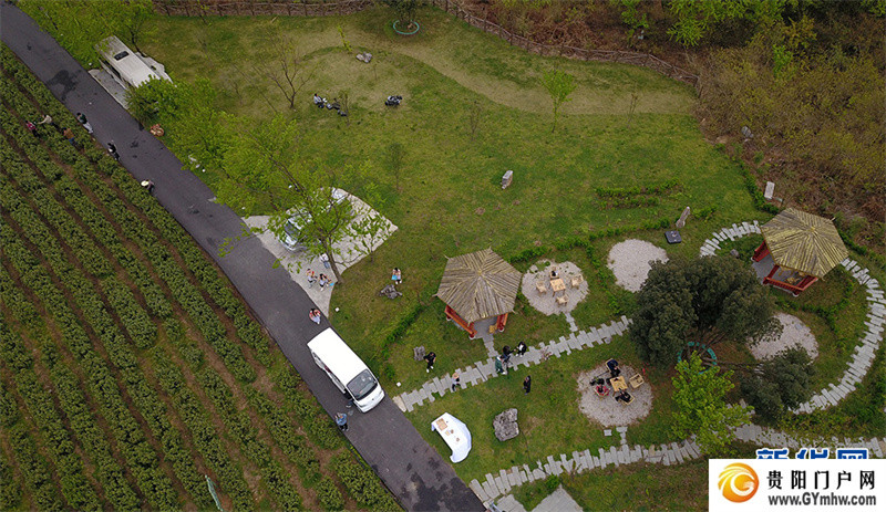 贵阳:美景茶香引客来(图6) 贵阳:美景茶香引客来(图6)