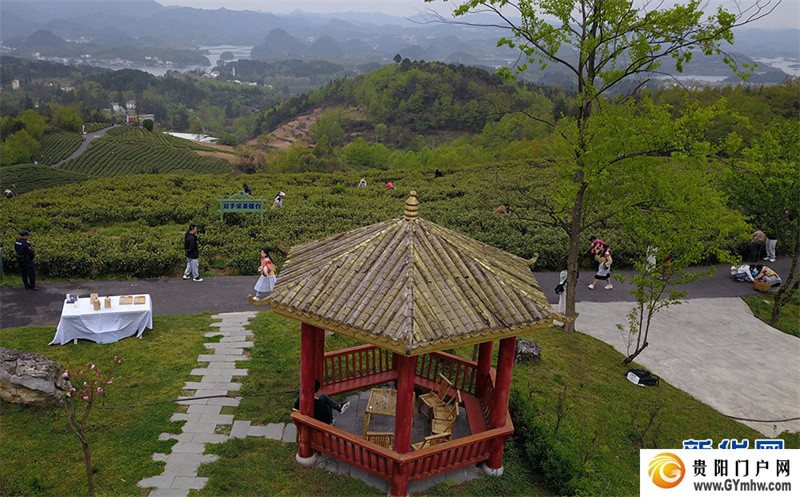 贵阳:美景茶香引客来(图7) 贵阳:美景茶香引客来(图7)