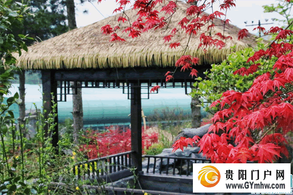 贵阳邀请长沙市民开启“和美乡村清凉之旅”(图6)