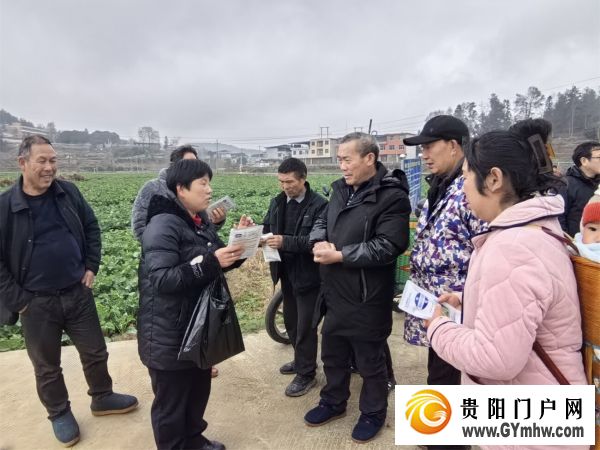 碧江:农技服务进田间 油菜管护促丰收(图2) 碧江:农技服务进田间 油菜管护促丰收(图2)