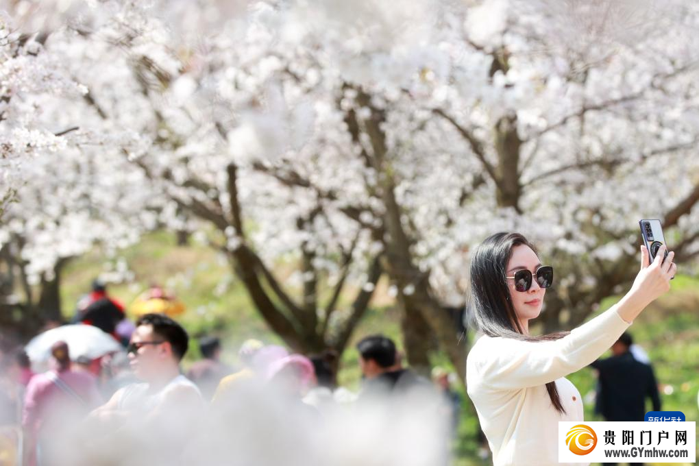 贵安新区:“樱花经济”助力乡村发展(图1) 贵安新区:“樱花经济”助力乡村发展(图1)