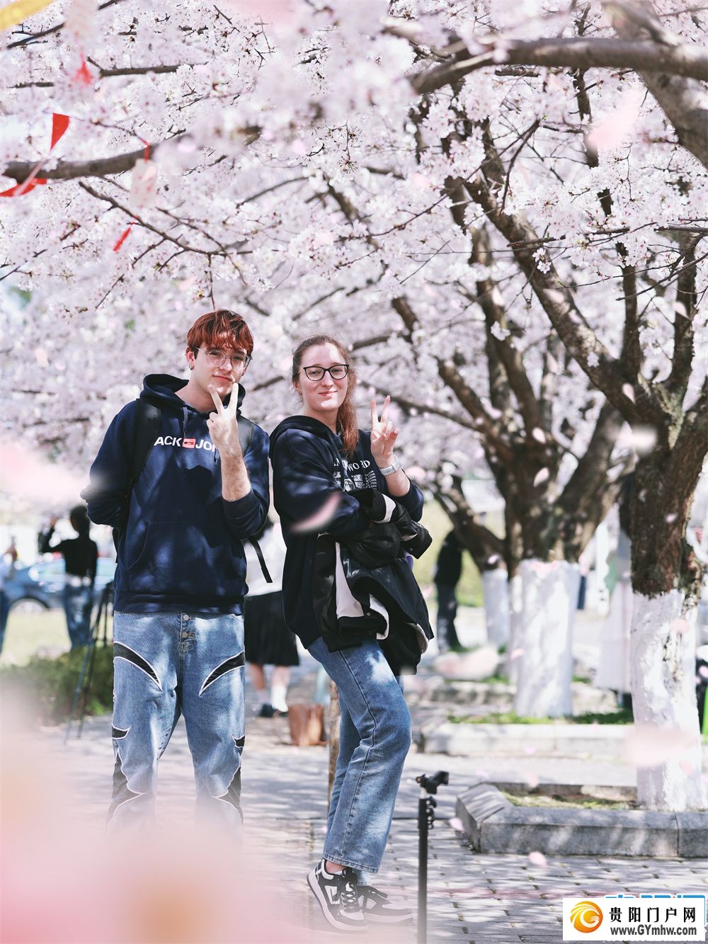 贵州大学校园满屏青春“樱花”而来(图5)