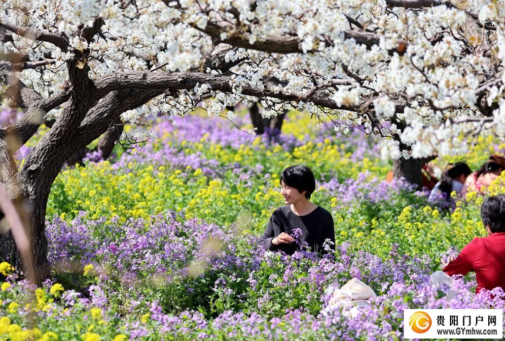 快出发！这些地方陆续美成仙境！(图23)