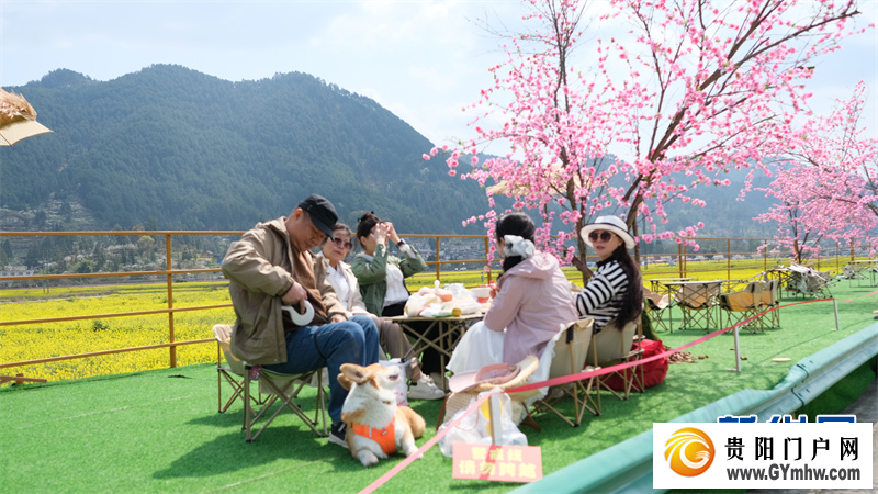 万亩花海迎客来 “文旅+”解锁春日“奇遇”新体验(图3)