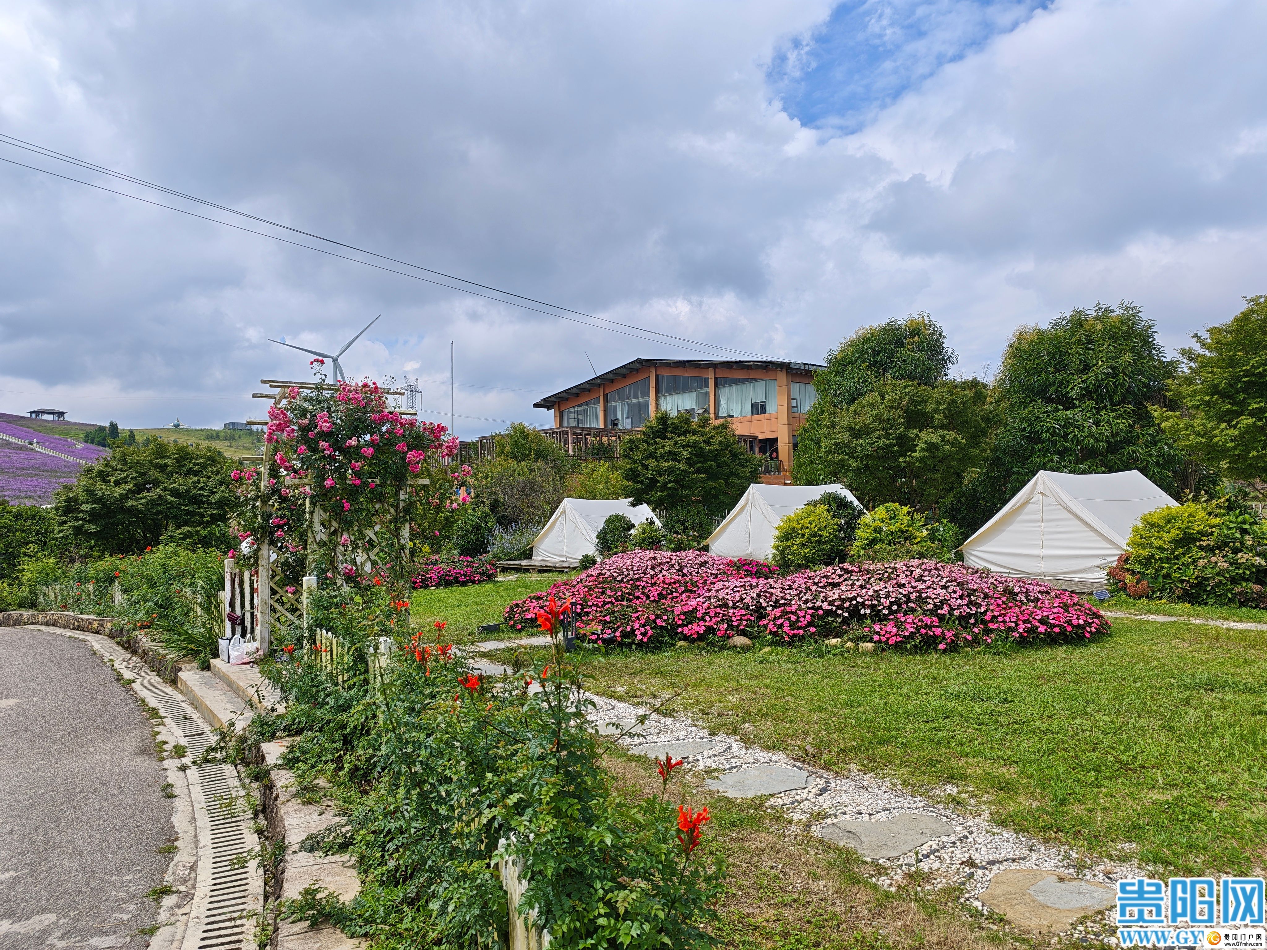 花溪区高坡乡打造云顶花海吸引游客避暑赏花(图3)